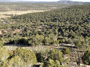 9337 Morgan Ln, Snowflake, AZ 85937