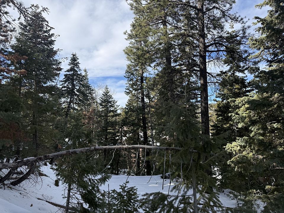 2nd image of 1015 E Pioneer Rd