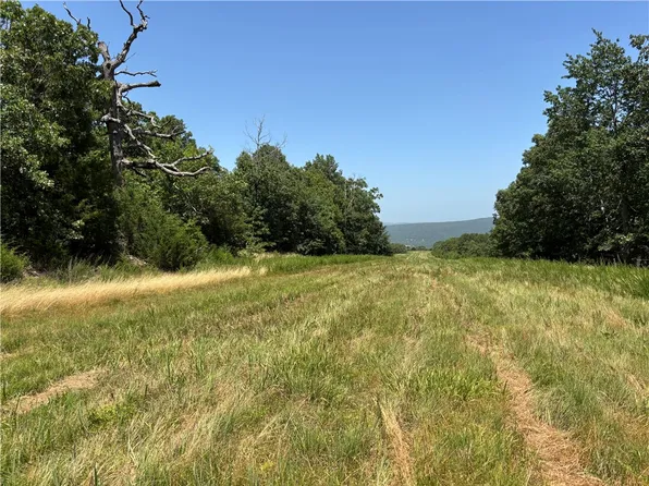 1 Madison 3202 Rd, Huntsville, AR 72740