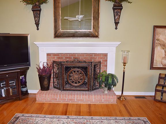 Wood-burning fireplace