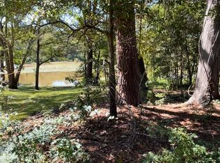 14405 W Peninsula Rd, Whitehouse, TX 75791