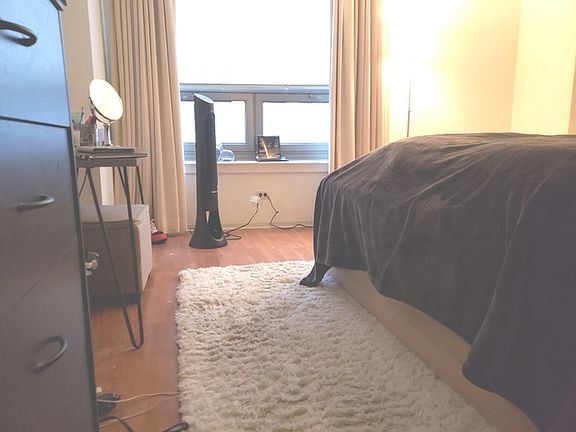 3rd image of 440 N Wabash Ave APT 3304