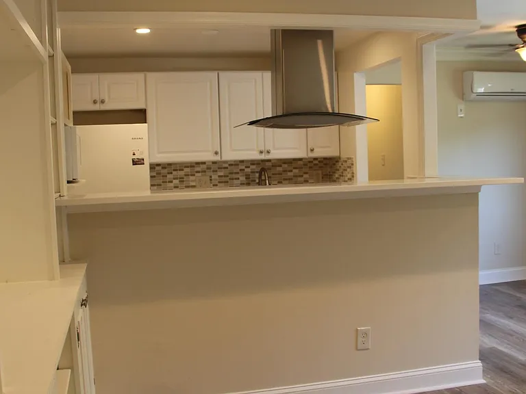 1133 N Randolph St #303 — Photo 3