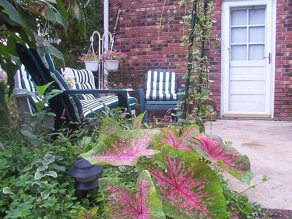 Summer backyard patio