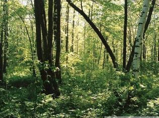 26670 Ice House Bridge Rd, Webster, WI 54893