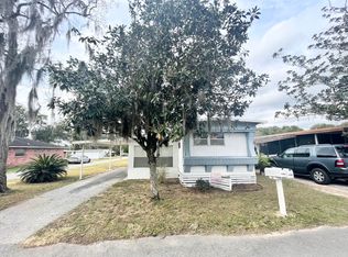 11736 Lisa Halasz Ln, Thonotosassa, FL 33592