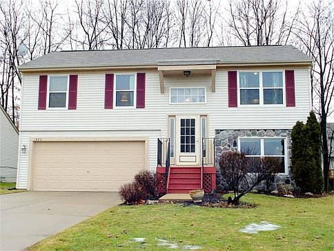 Immaculate Home