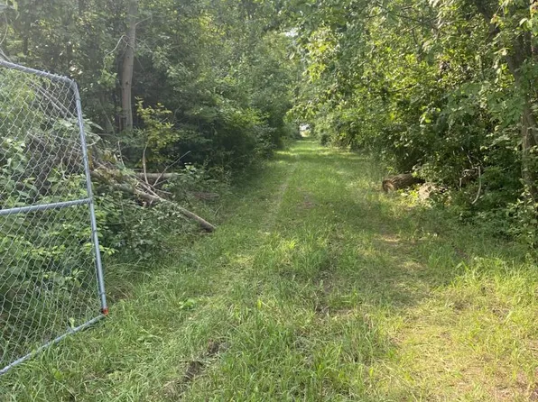 Filion Rd #V/l, Pt Hope, MI 48468