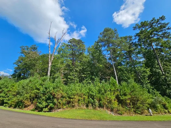 241 Carters View Ln #241, Ellijay, GA 30540