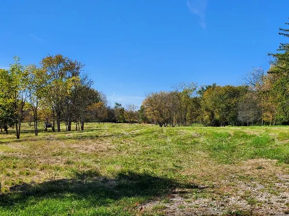 LOT 1 N Chicago Ave Lot 1, Wadsworth, IL 60083