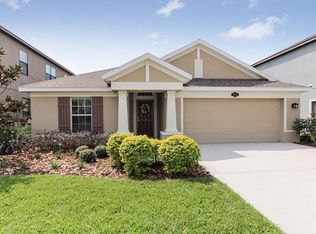 19214 Verdant Pasture Way, Tampa, FL 33647