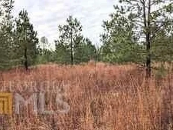 0 Highway 221, Bartow, GA 30413