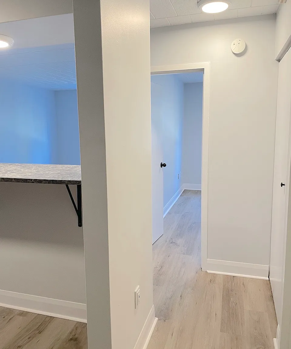 1 bed, $1,181 — Photo 2