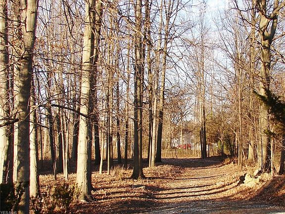 4th image of Hilliard Rd