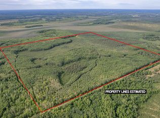 XXX Digs Dr, Wright, MN 55798