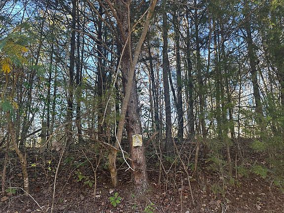 5th image of 0 Mount Carmel Rd