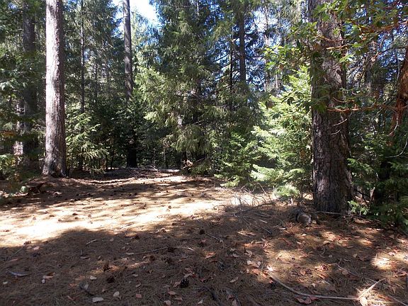 26311 Shake Ridge Rd, Volcano, CA 95689 | MLS #222116731 | Zillow