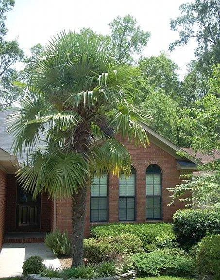 2919 Pointewest Dr — Photo 2