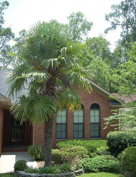 Building Photo - 2919 Pointewest Dr