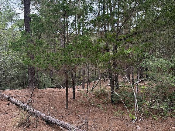 5th image of LOT 217 Hekili Dr