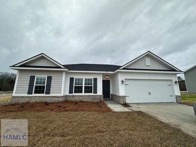 486 Doctors Creek Rd NE, Ludowici, GA, 31316