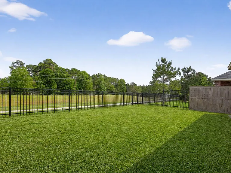 16817 Pink Wintergreen Dr — Photo 43