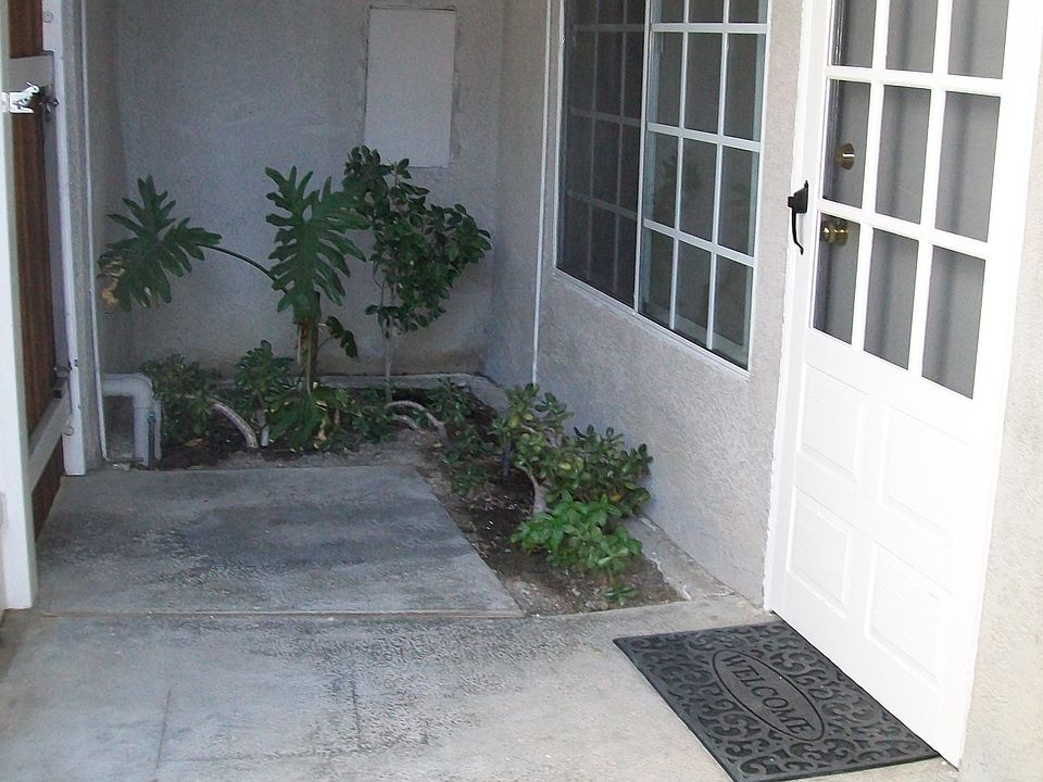 Patio Area
