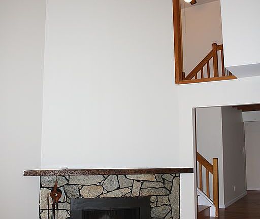 Wood burning fireplace