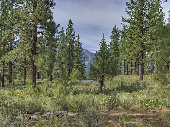 4th image of 7545 Lahontan Dr