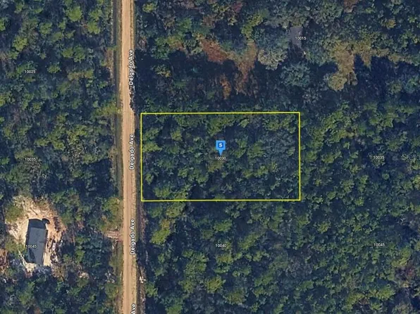 10030 DELGADO AVENUE, HASTINGS, FL 32145