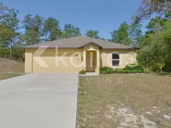 11146 N G Martinelli Blvd, Citrus Springs, FL 34433