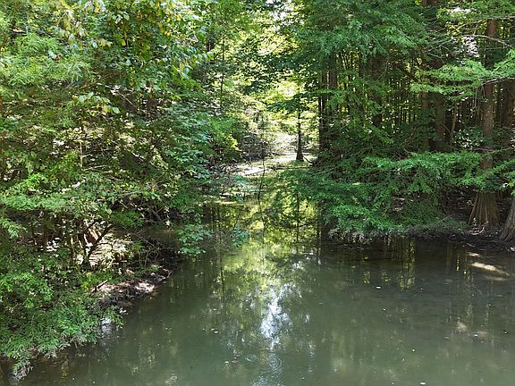 66th image of this home