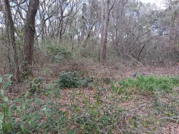 0 Lawson Rd, Grand Bay, AL 36541
