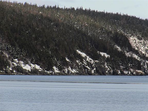 3rd image of 2 Penney's Road