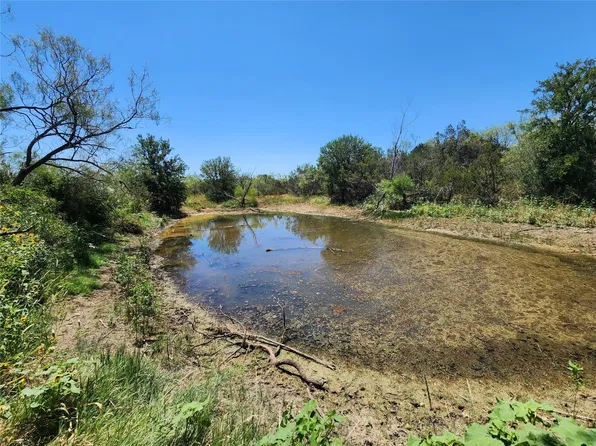 County Road 132, Santa Anna, TX 76878