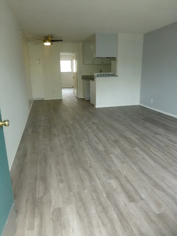 11932 Courtleigh Dr — Photo 1