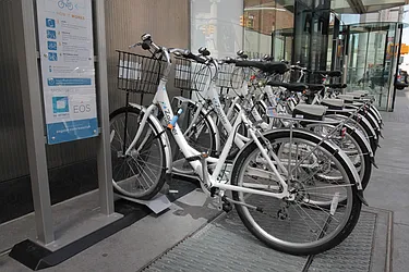 Rented by The Dermot Realty Management Company