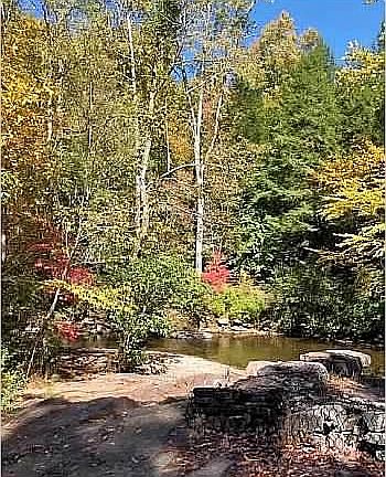 Fires Creek Picnic Area