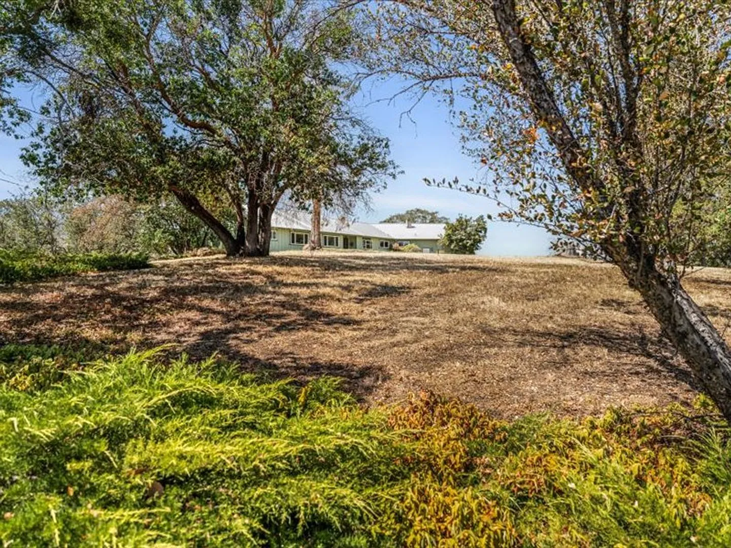 Ranch style 3 Bed 3 Bath home on 87 acres — Photo 2
