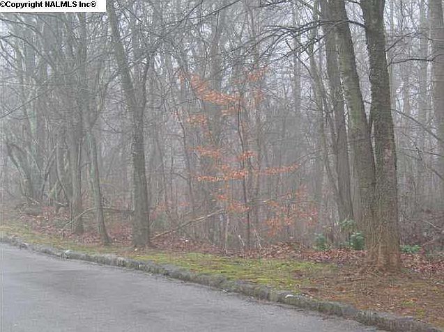 2nd image of 1 Asbury Rd SE