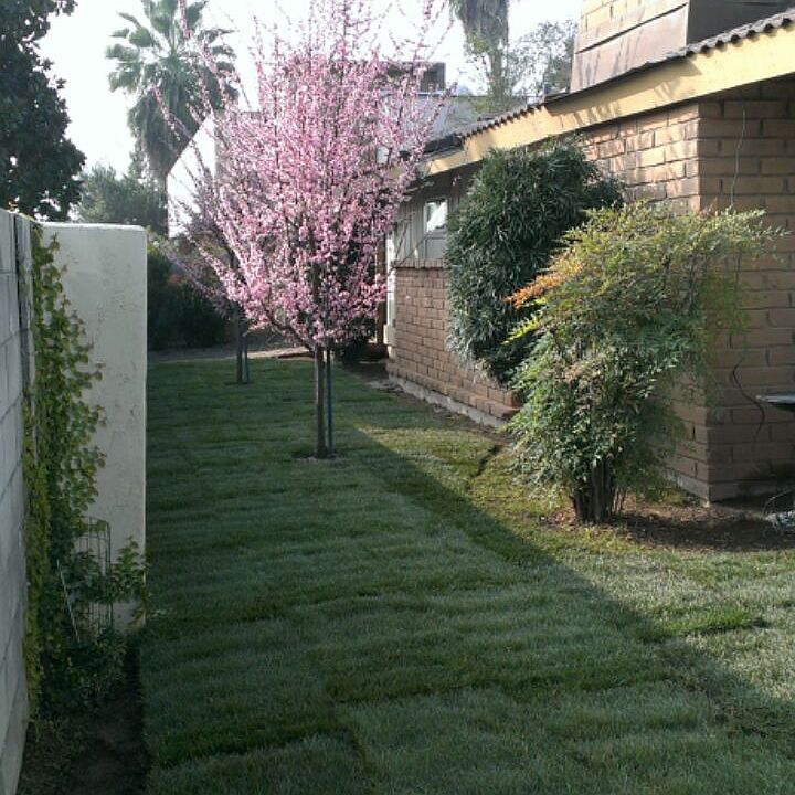 Yard