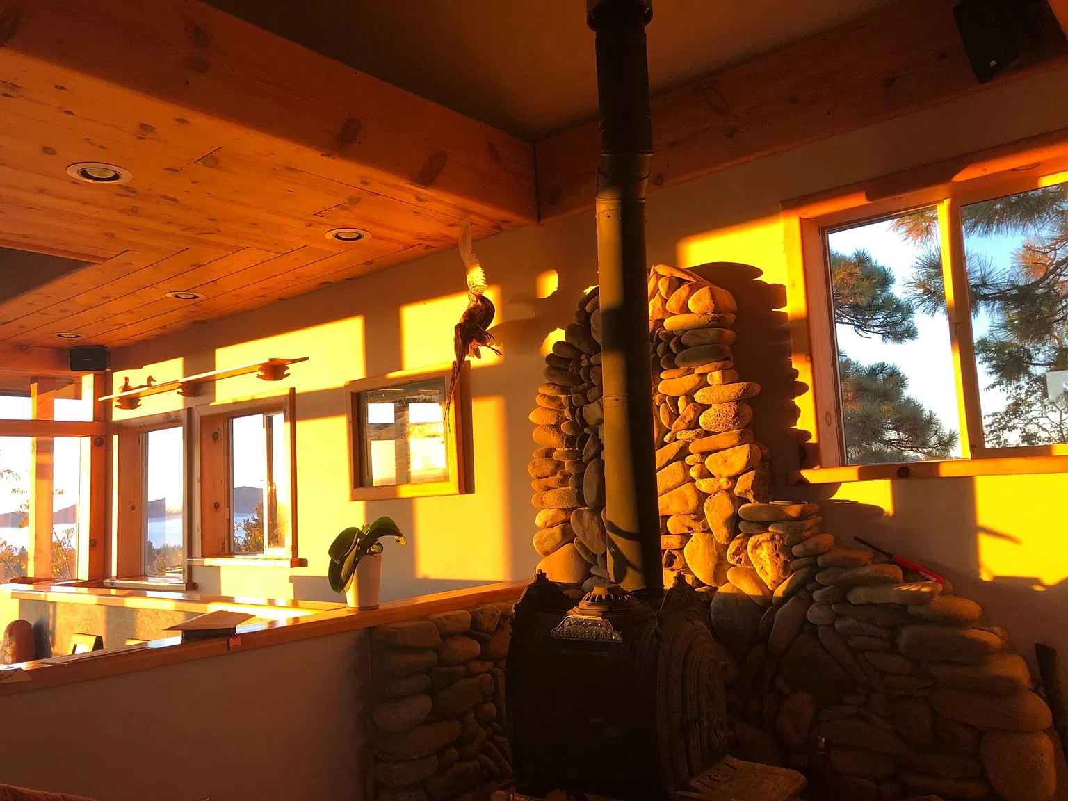 Far View Rd, Durango — Photo 2