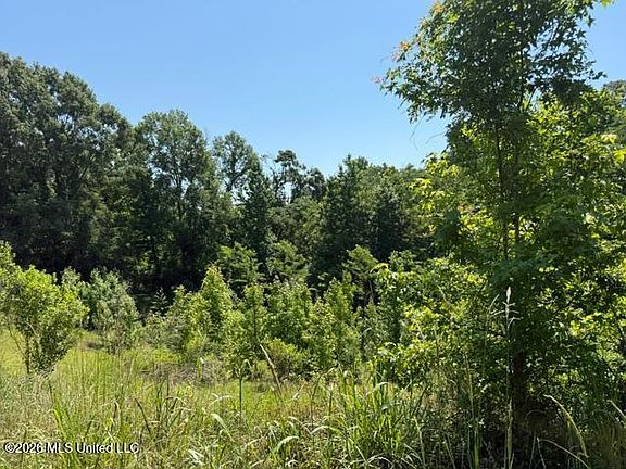 2nd image of 53 Cliffs Plantation Rd