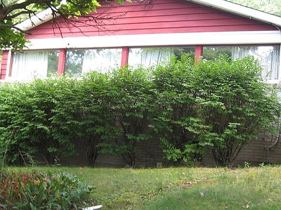 5th image of 618 Westland Dr