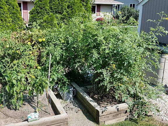 Raised veg/flower beds