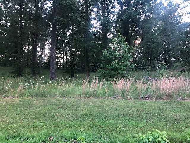 1st image of 283 County Road 782