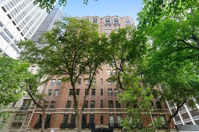 210 E Pearson St APT 6A photo 1