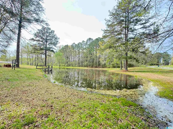 174 Mountain Rd, Ohatchee, AL 36271