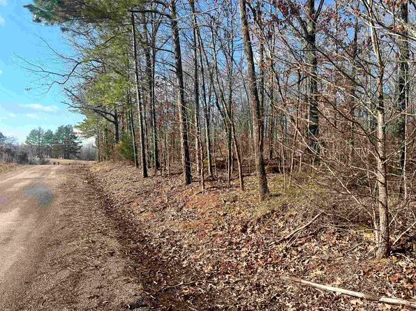 1 Tulu Ln, Michie, TN 38357