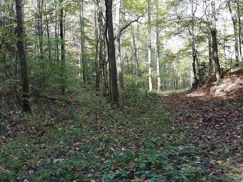 2nd image of 0 Shady Springs Way